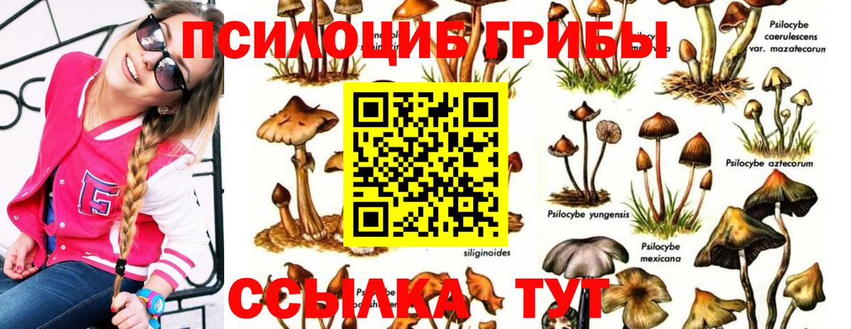 Галлюциногенные грибы Psilocybine cubensis Кирово-Чепецк