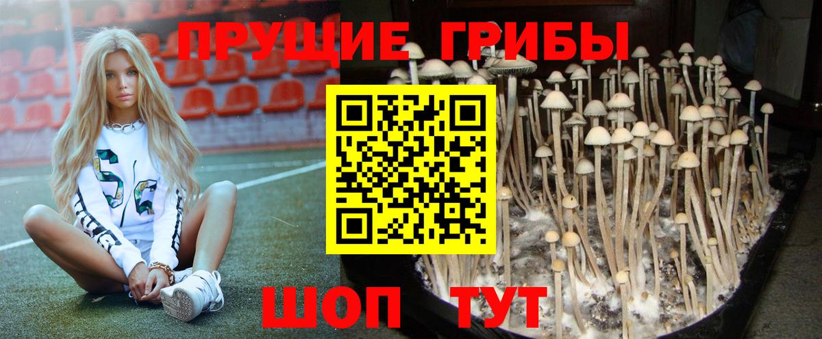 Галлюциногенные грибы ЛСД  Вход с VPN  Галлюциногенные грибы Psilocybe  Кирово-Чепецк 